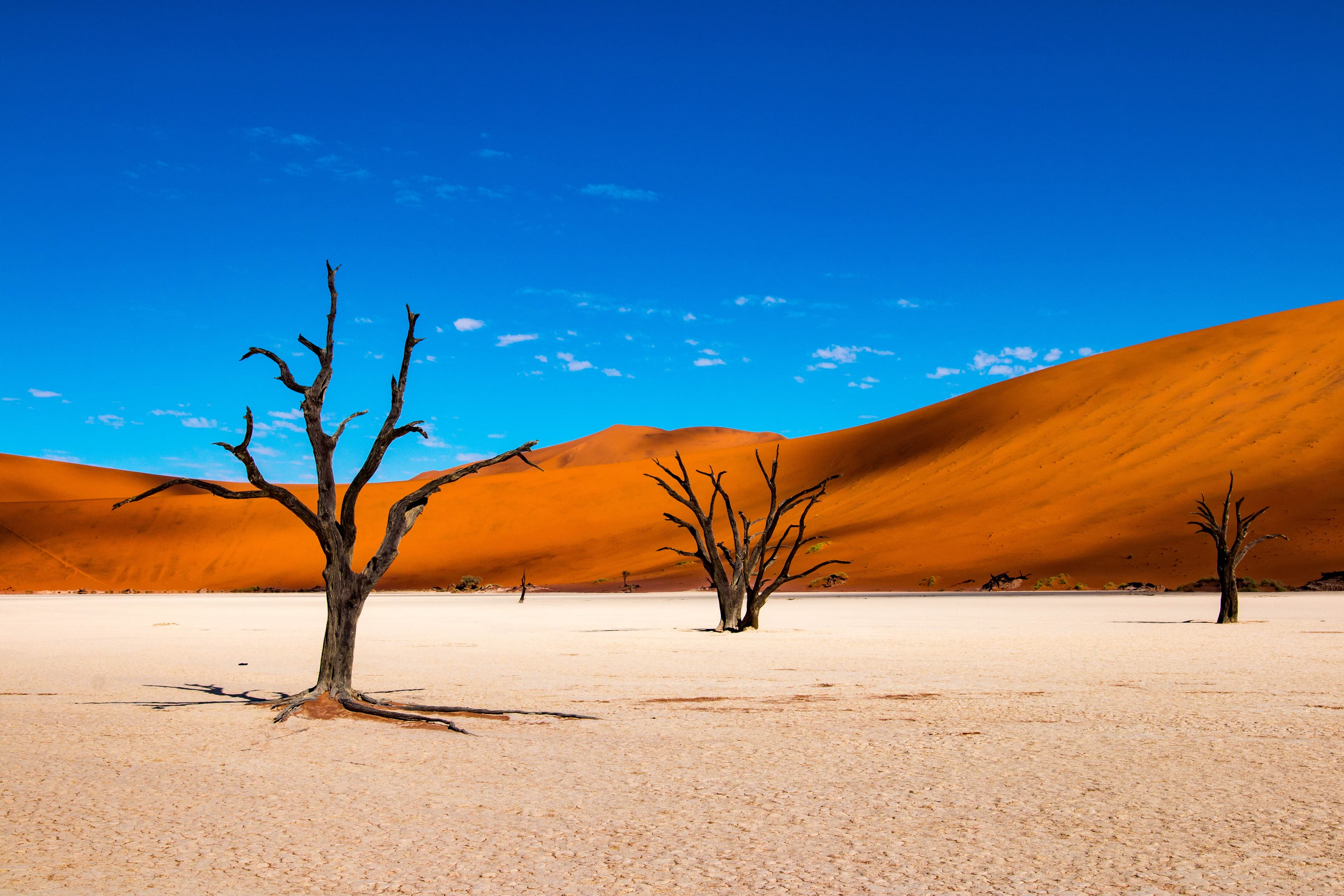 Deadvlei