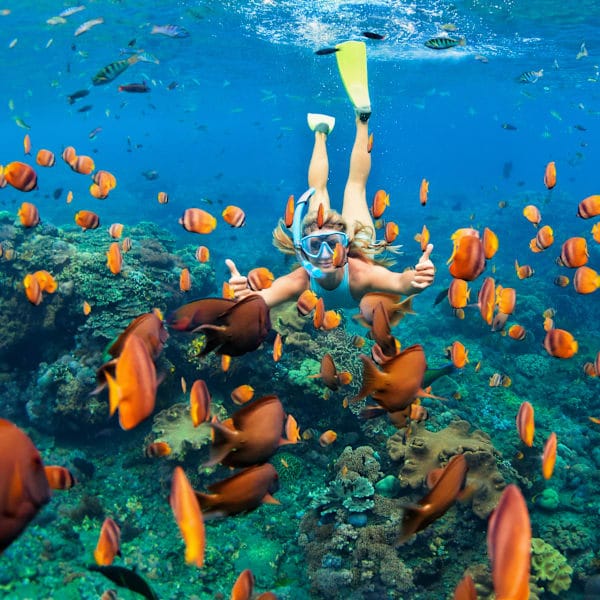 Bali and Flores: Jungles, dragons and beaches