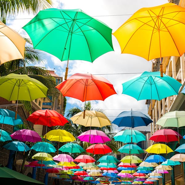 Explore Mauritius: Road trip and glamping in nature