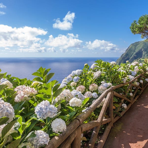 Azores island-hopping: Road trip to volcanic gems