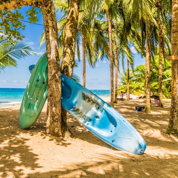Costa Rica and Panama: Road adventure to the cloud forest!