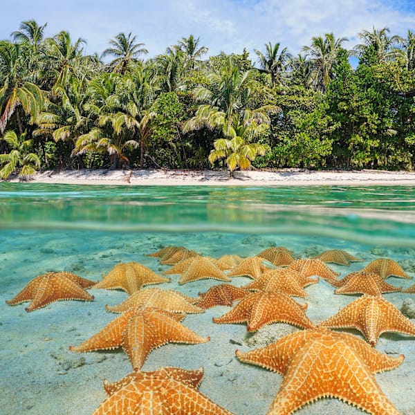 Costa Rica and Panama: Road adventure to the cloud forest!