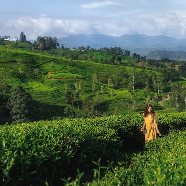 Sri Lanka: Safari, sunsets and sandy shores
