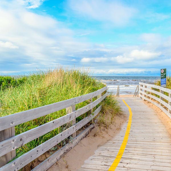 Explore Ontario: Road trip, wildlife and city sights
