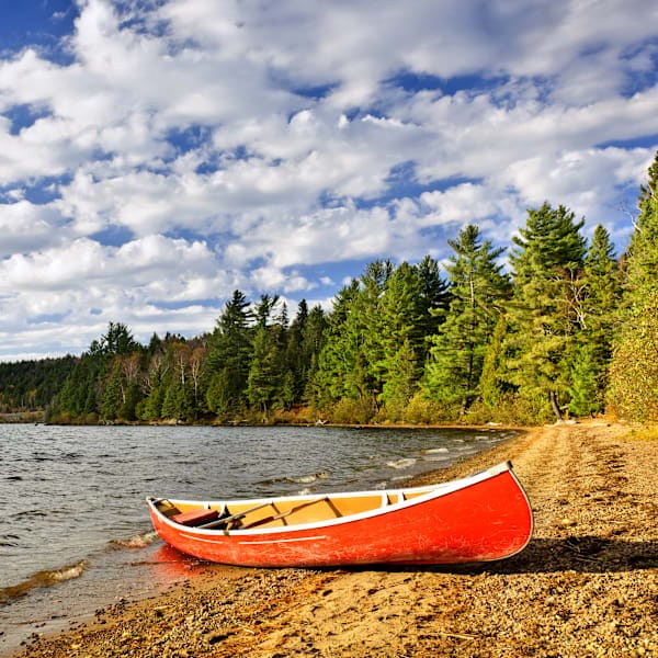 Explore Ontario: Road trip, wildlife and city sights