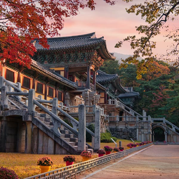 South Korea and Japan: City-hopping to Mt Fuji