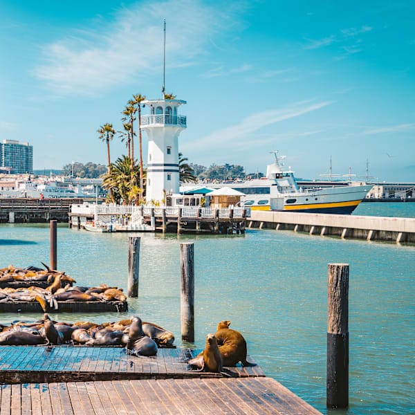 USA road trip: Cruisin’ from the Golden Gate to the shore